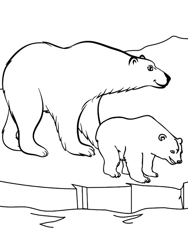 Niedźwiedź polarny kolorowanki